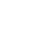 pavage-gadbois-rond-blanc